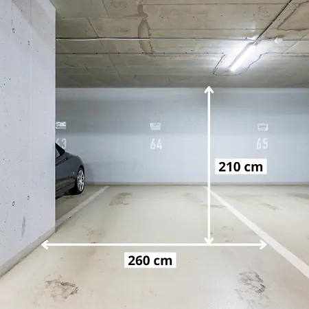Apartment Spacious In Nusle By Days *